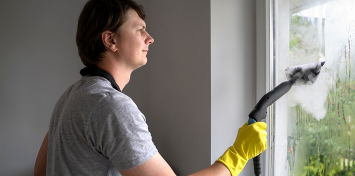 Steam Sanitizing