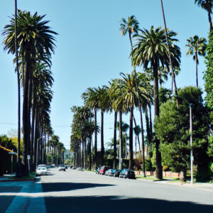 The Top Five Reasons to Sweep Orange County, California Pavement